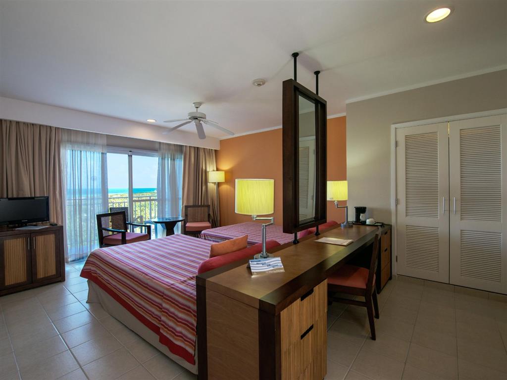 Executive Room - 14