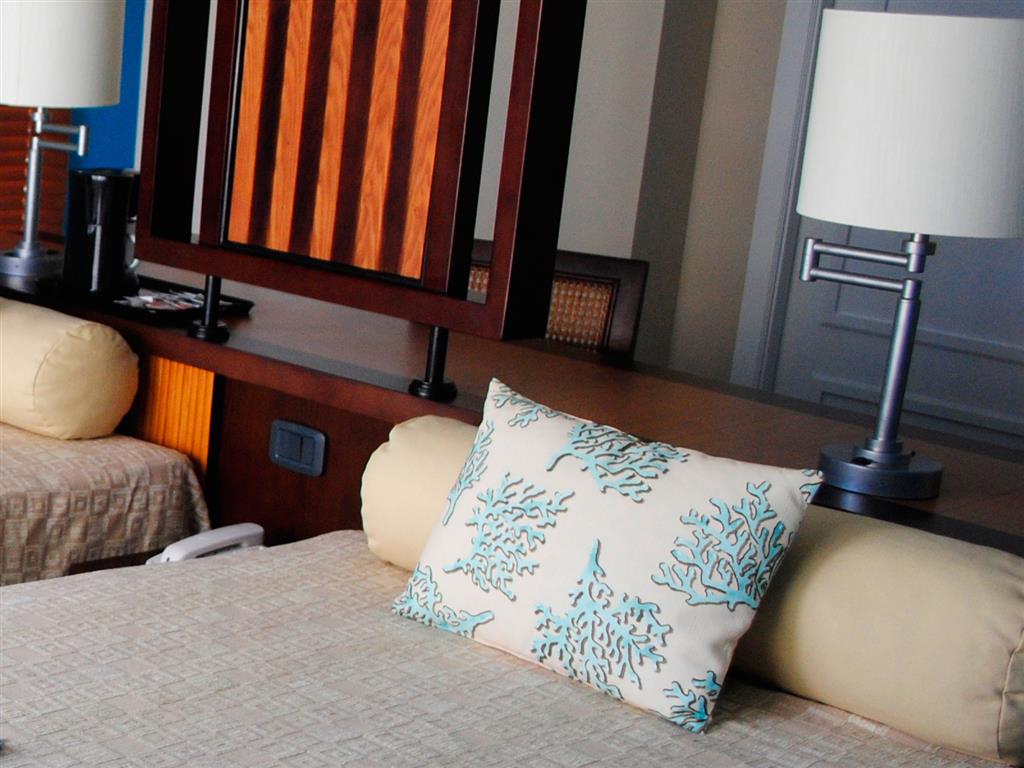 Executive Room - 5