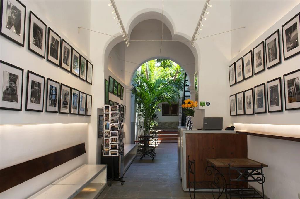 Executive Room - 1