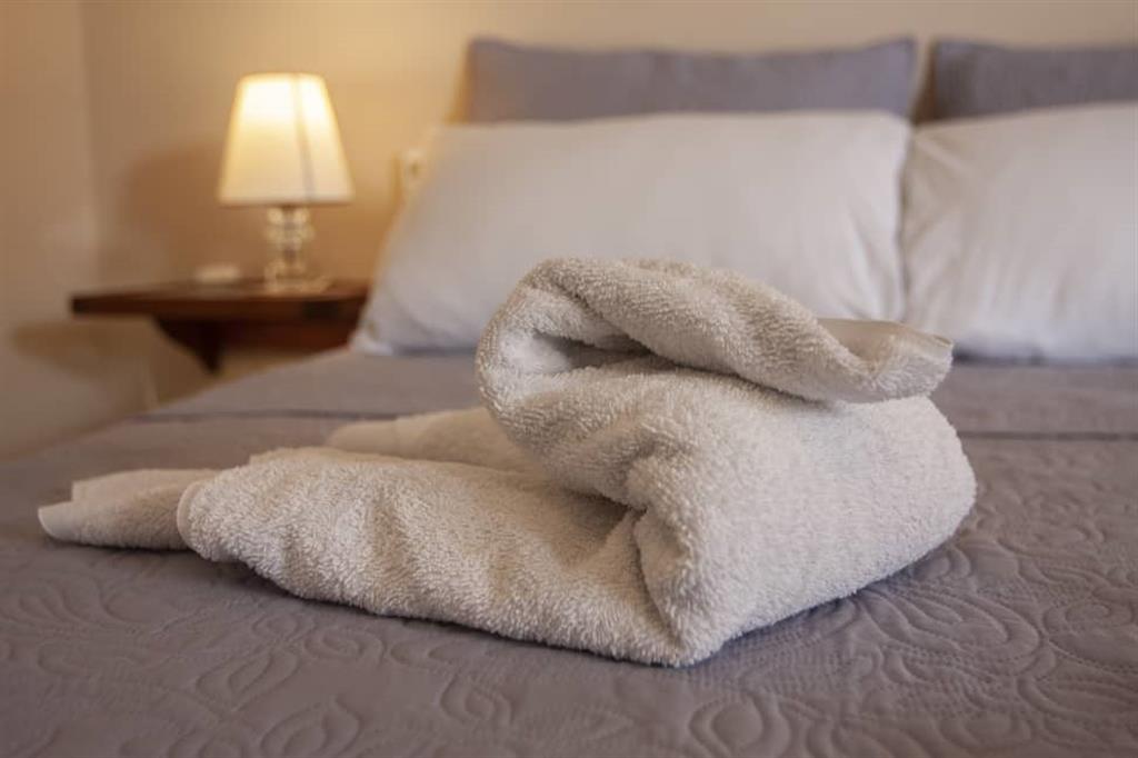 Executive Room - 6