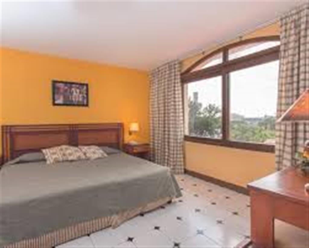 Executive Room - 7