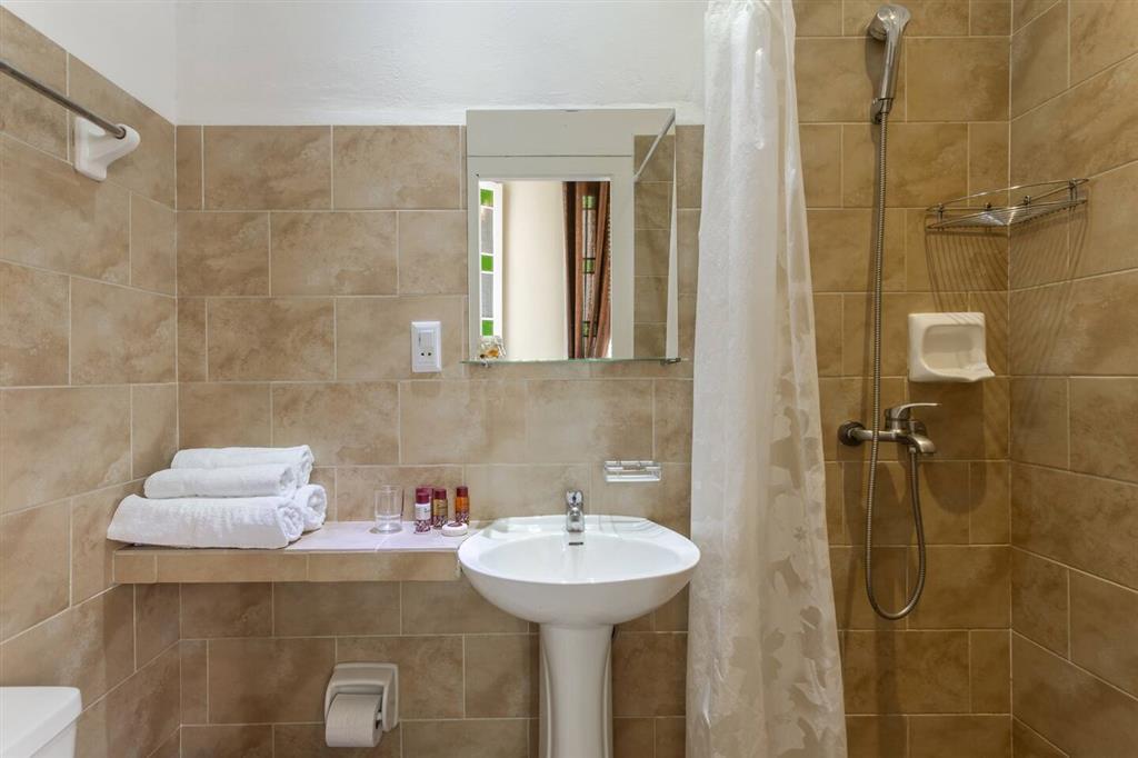 Executive Room - 6