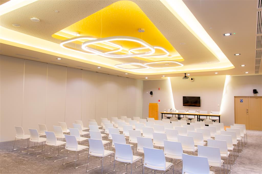 Executive Room - 11