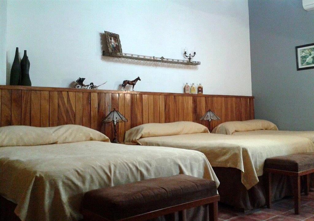 Executive Room - 4