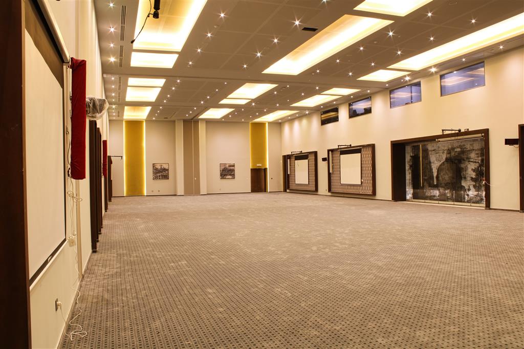 Executive Room - 3